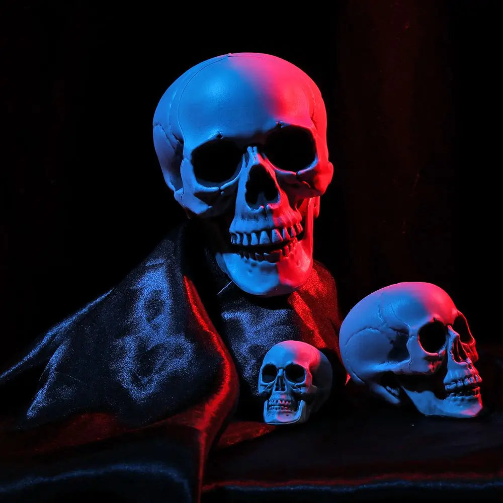 All Size Terrible Human Skeleton Skull Head Halloween Props Skeleton for Bars/Coffee Bars/Haunted Houses/Halloween Party Decor