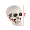 All Size Terrible Human Skeleton Skull Head Halloween Props Skeleton for Bars/Coffee Bars/Haunted Houses/Halloween Party Decor
