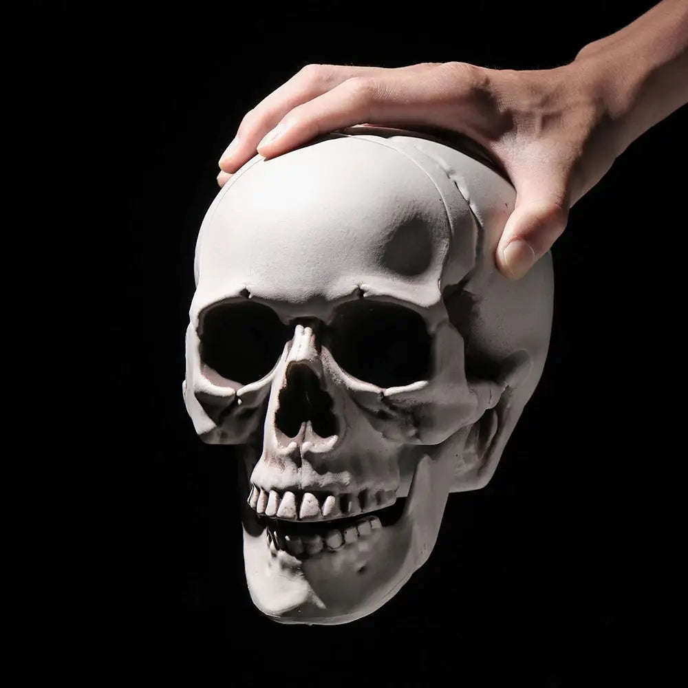 All Size Terrible Human Skeleton Skull Head Halloween Props Skeleton for Bars/Coffee Bars/Haunted Houses/Halloween Party Decor
