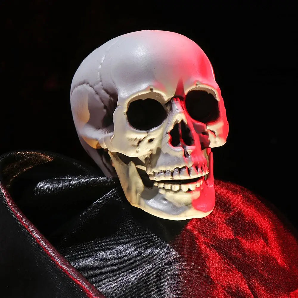 All Size Terrible Human Skeleton Skull Head Halloween Props Skeleton for Bars/Coffee Bars/Haunted Houses/Halloween Party Decor